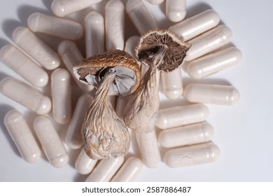 Buy Golden Teacher mushroom microdose