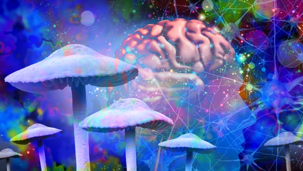 Order psychedelics in Europe