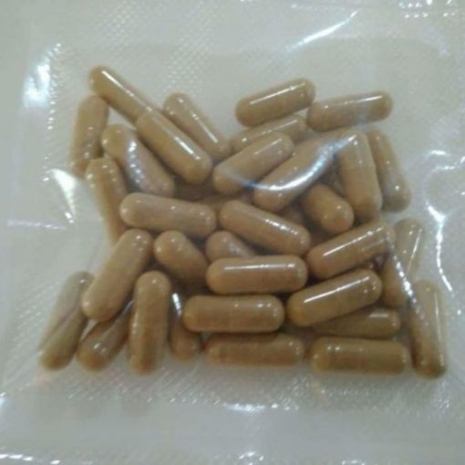 iboga-capsules-1-700x700-1-510x510-1.jpg