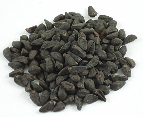 lsa_-_morning_glory_seedsgck1.jpg