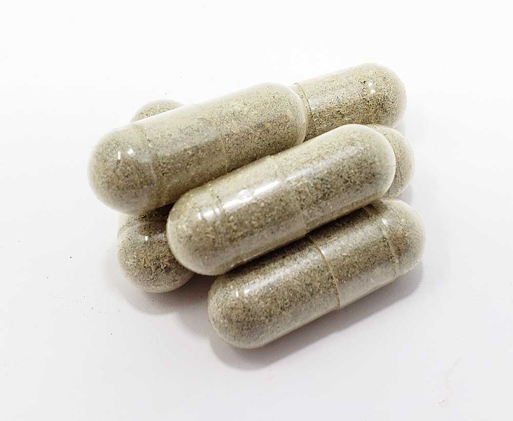 Buy Blue Meanies Mushroom Microdose Buy Blue Meanies Mushroom Microdose